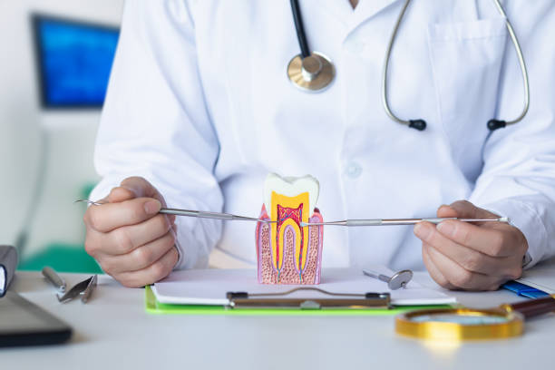 Best Knocked-Out Tooth Emergency  in Cowan, TN